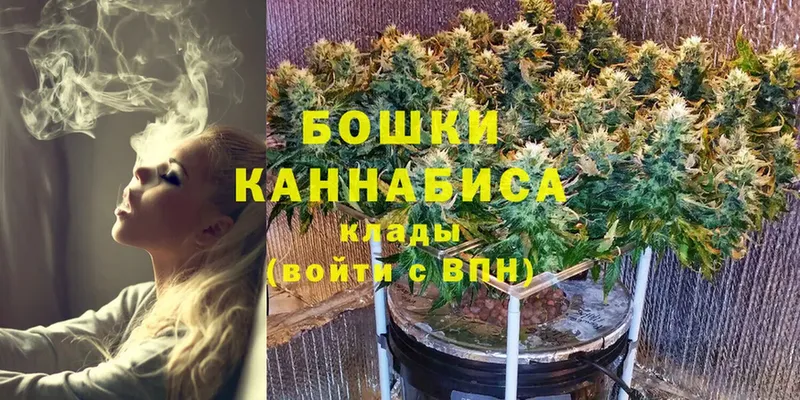 купить закладку  Старая Купавна  Бошки Шишки семена 